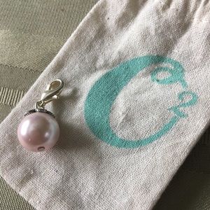 Origami Owl dangle